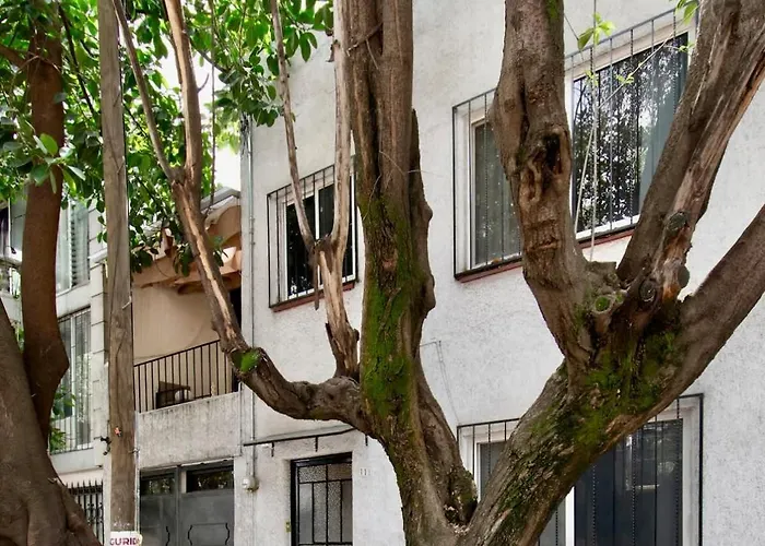 Luxurious With 9 Bedroom And Huge Terrace Condesa Дом отдыха *